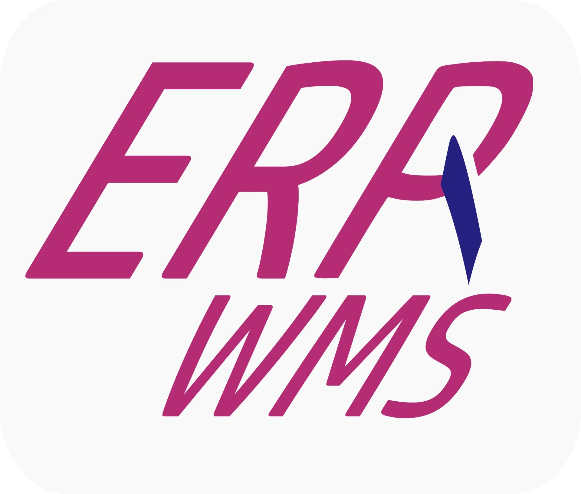ERP-WMS